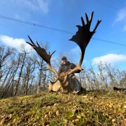 Chasse à l'approche