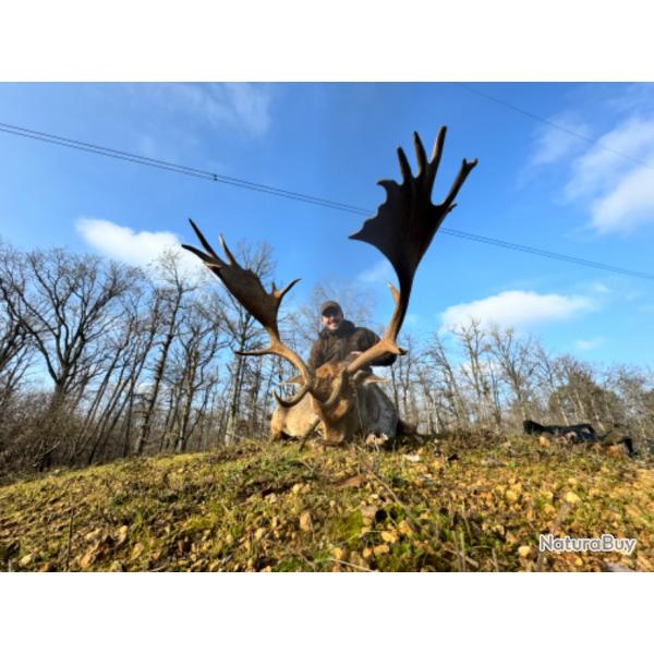 Chasse  l'approche