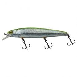 Leurre Illex Arnaud Smash Minnow 110F RT Visible Roach