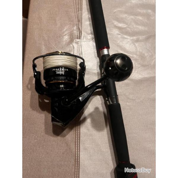 Moulinet Daiwa Saltiga 8000 Dogfight