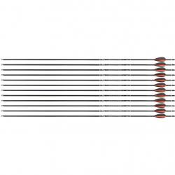Flèche Avalon Tyro 4.2 en carbone (nouvelles) 900 29" 1 plume rouge 2 plumes noires