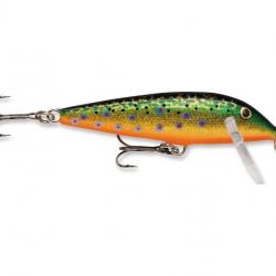 Leurre Rapala Countdown 5cm BTR