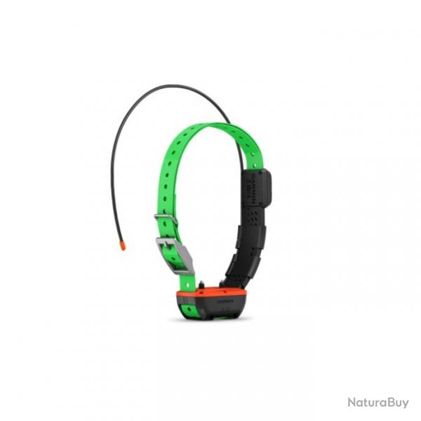 Collier de suivi et dressage Garmin Alpha TT25F