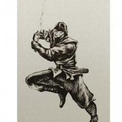 Poster Tissu Ninja