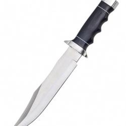 Outlaw Bowie