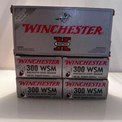 Balles WINCHESTER Power-Point 300 WSM Lot de 5 boîtes