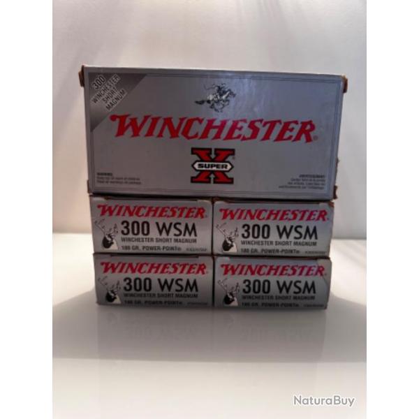 Balles WINCHESTER Power-Point 300 WSM Lot de 5 botes