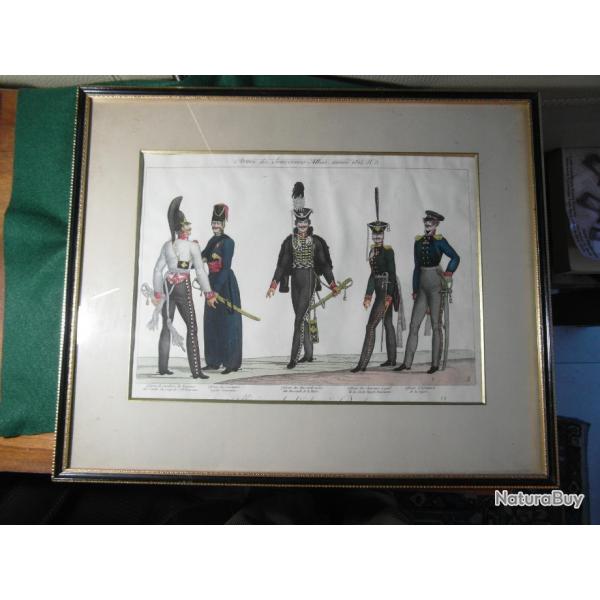 Belle grande gravure aquarelle 19 "arme des allis en 1815"