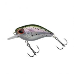 Poisson Nageur Berkley DEX Thumper Floating 5,5cm Rainbow Trout 5,5cm 11,8g