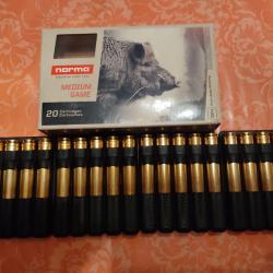 19 Balles Norma 300 Win MAG - TIPSTRIKE (pointe orange) - 170grains - 11gr