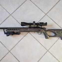 Carabine Ruger American Rimfire 22 LR Crosse Trou de pouce