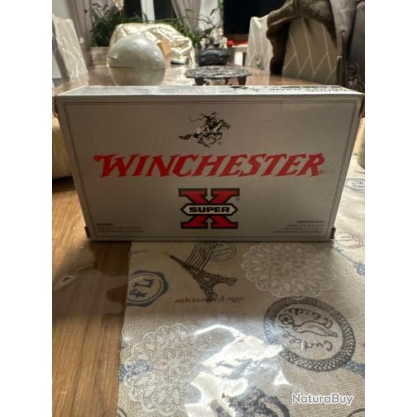 Munitions 300 win mag winchester