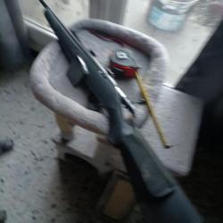 vend carabine 222 norinco