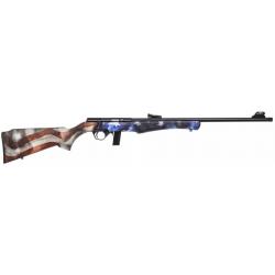 CARABINE ROSSI 8122 USA 22LR