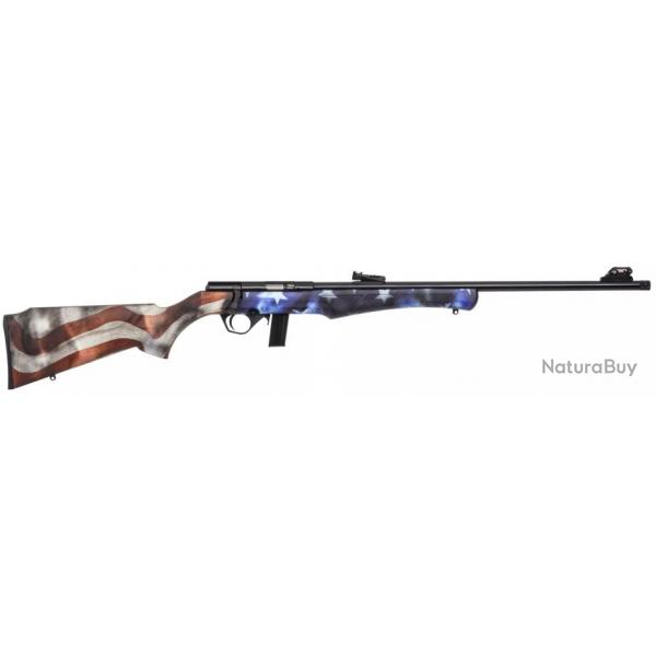 CARABINE ROSSI 8122 USA 22LR