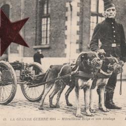 CPA  -  La Grande Guerre 1914 - Mitrailleuse Belge et son Attelage N°685