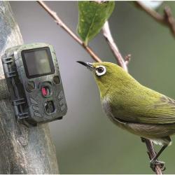 mini camera de chasse