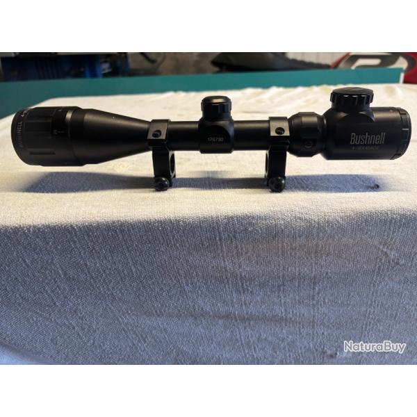 lunette bushnell 4-16x40 aoe