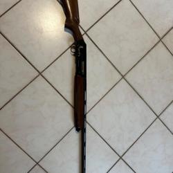 Browning phoenix cal 20/76