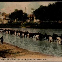 CPA -  Militare -CHALON-SUR-MARNE Le Brossage des Chevaux - N°0012