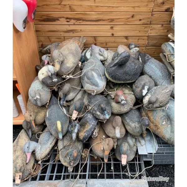 Lot blette canard hutte
