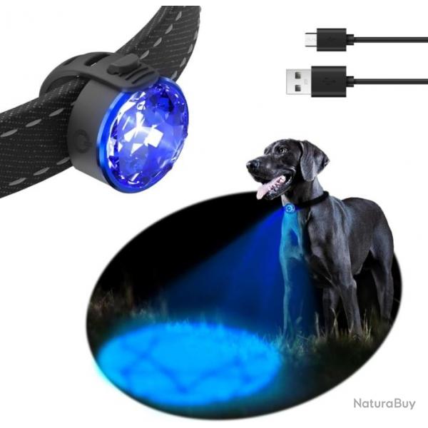 Collier pour Chiens avec Lampe Intgrer pour ne pas perdre votre chien la nuit