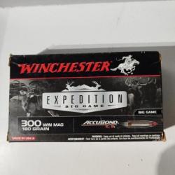 Munitions winchester 300win