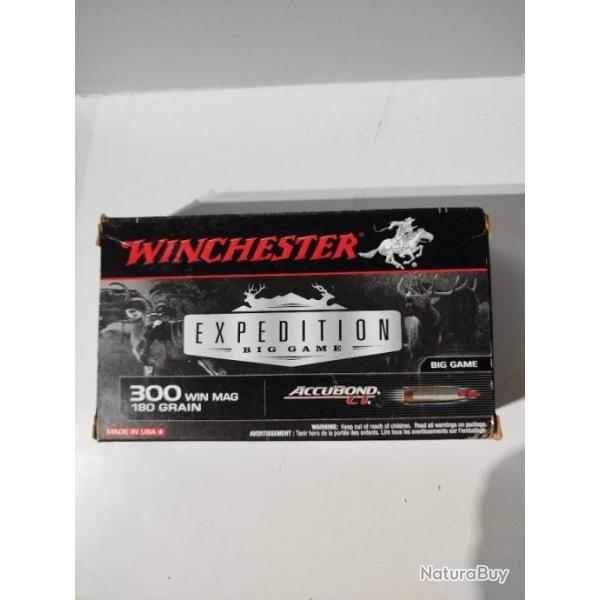 Munitions winchester 300win