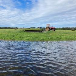 Gabion chasse Gibier d'eau