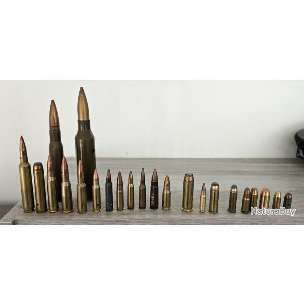 Collection munitions neutralises