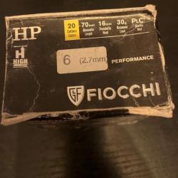 Lot de cartouches Fiocchi Performance HP cal 20