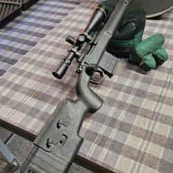 carabine wramint remington 700 308 win