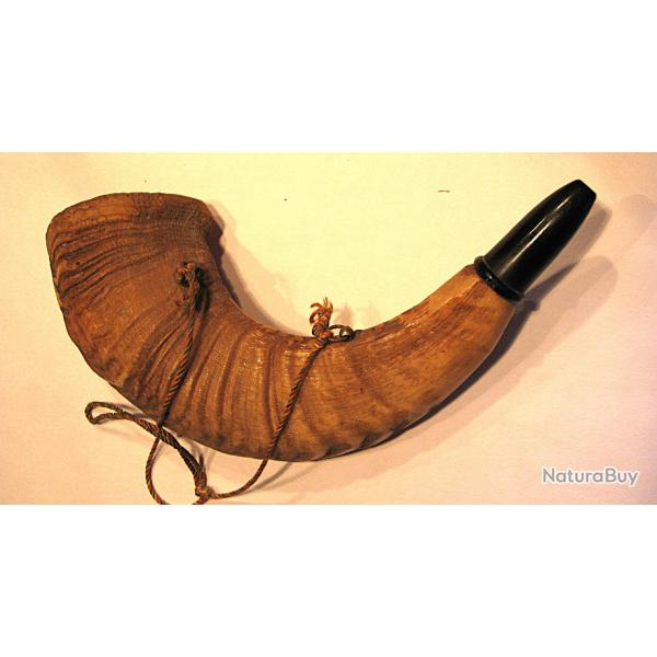 trompe de chasse corne d'appel naturelle long 20 cm