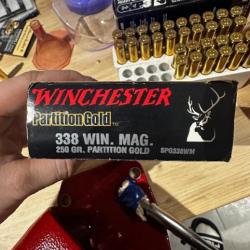 Winchester partition gold 250gr 338win mag