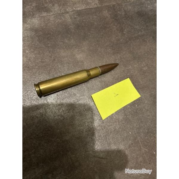Munition cartouche calibre 50 neutraliser