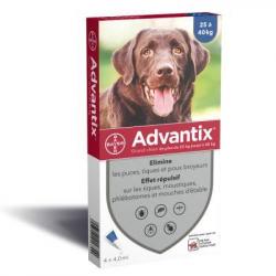 ADVANTIX GRAND CHIEN X4 PIPETTES +25KGS