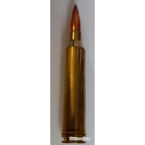 Pour  collection munition cal 264 win mag