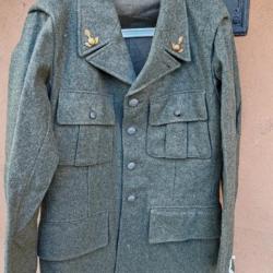 VESTE FELDGRAU ARMÉE SUEDOISE AVEC INSIGNES,AVEC