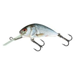 Poisson Nageur Salmo Hornet Floating RD - Real Dace H6F