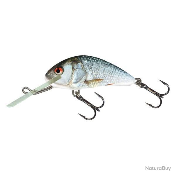 Poisson Nageur Salmo Hornet Floating RD - Real Dace H6F