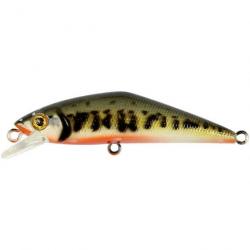 Poisson Nageur Smith D-Contact 63 FES V1 4,5g 6,3cm