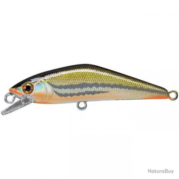 Poisson Nageur Smith D-Contact 63 FES 31 4,5g 6,3cm