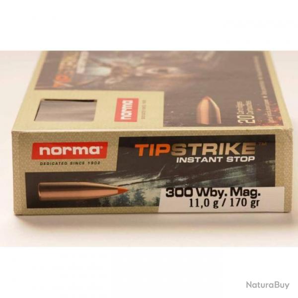 Lot de 10 botes de Munitions NORMA 300 Win Mag 11.0G 170 Gr TIP STRIKE.