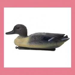 Canard flottant chasse ( envoi gratuit)