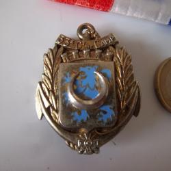 insigne collection militaire 33 e Groupement de Camp Sissonne