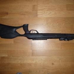 carabine gamo igt2 5.5 45 joules 10 coups