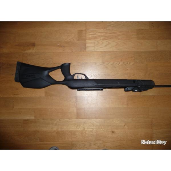 carabine gamo igt2 5.5 45 joules 10 coups