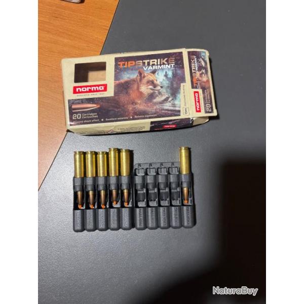 6 balles norma tipstrike varmint 243w4,9g 76gr