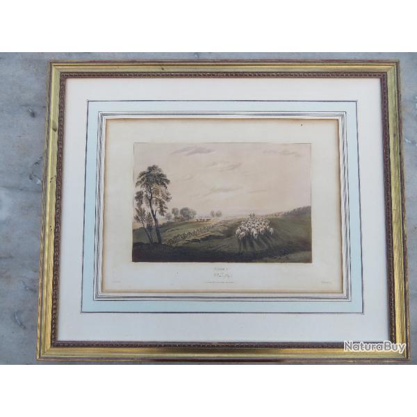 Ancienne grande Lithographie Anglaise en couleurs " Afternoon, a view in Gurry" - Angleterre