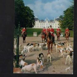 chateau de cheverny la meute et cavaliers, chasse à courre carte postale moderne